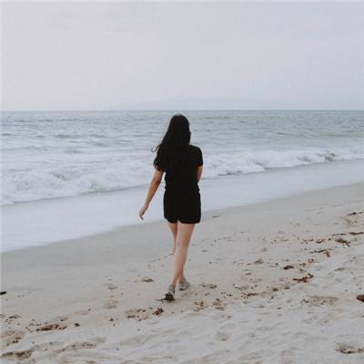 m6米乐网页版登录入口下载手机版截图